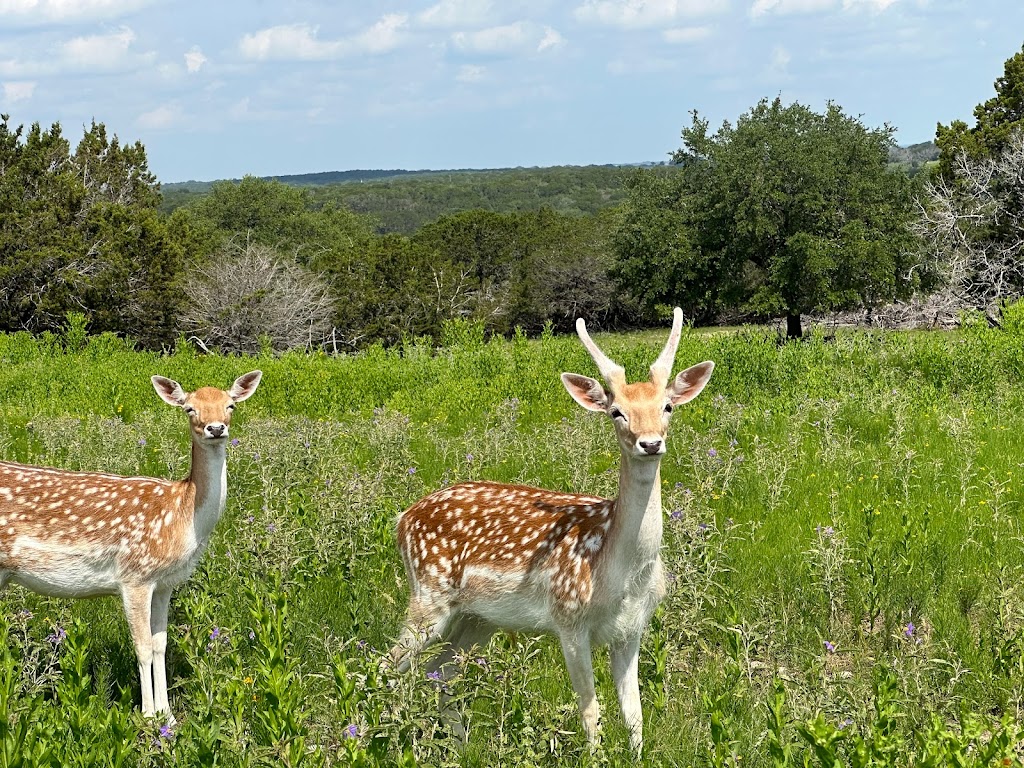 Fossil Rim Wildlife Center | 2299 Co Rd 2008, Glen Rose, TX 76043, USA | Phone: (254) 897-2960