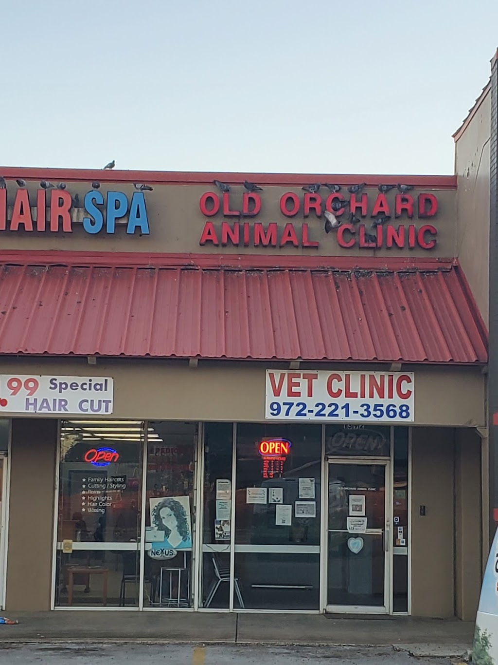 Old Orchard Animal Clinic | 1392 W Main St, Lewisville, TX 75067, USA | Phone: (972) 221-3568