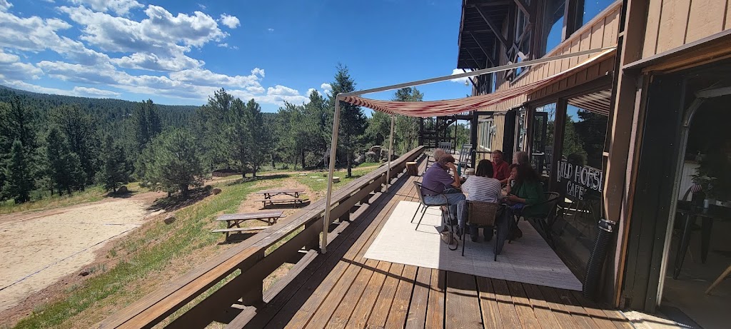 Wild Horses Cafe | 178 Palmer Dr, Florissant, CO 80816, USA | Phone: (719) 687-3425