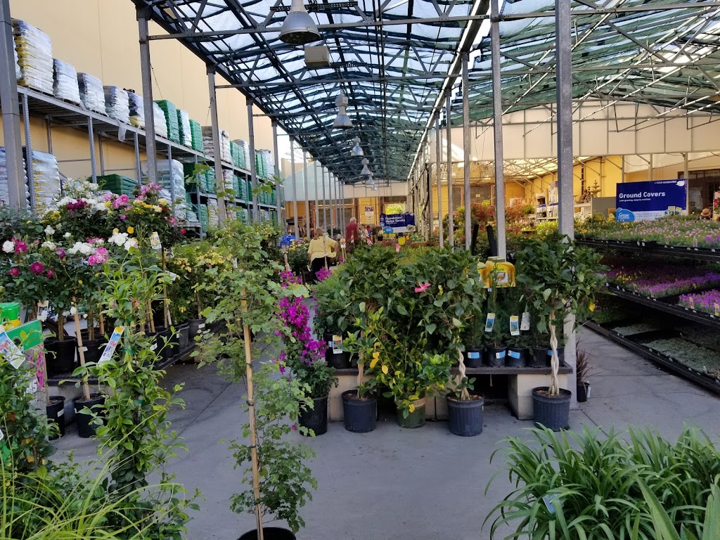 Lowes Garden Center | 2318 Northside Dr, San Diego, CA 92108, USA | Phone: (619) 584-5500