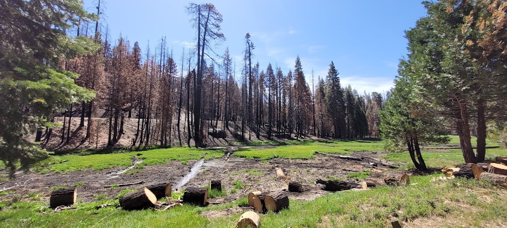 Holey Meadow (recgovnpsdata) | Camp Nelson, CA 93208, USA | Phone: (559) 539-5230