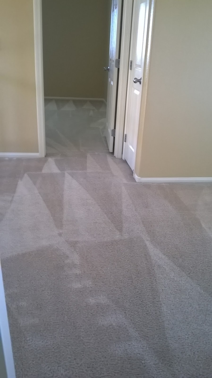Horizon Carpet Cleaning | 2736 E Lake Mead Blvd, North Las Vegas, NV 89030, USA | Phone: (702) 750-9077