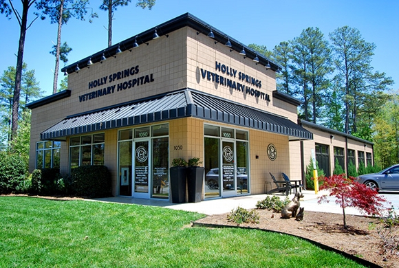 Holly Springs Veterinary Hospital | 1050 N Main St, Holly Springs, NC 27540, USA | Phone: (919) 567-1775