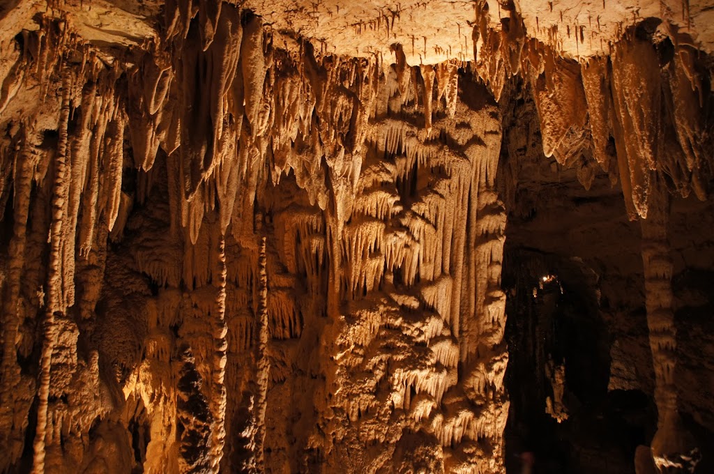 Natural Bridge Caverns | 26495 Natural Bridge Caverns Rd, San Antonio, TX 78266, USA | Phone: (210) 651-6101