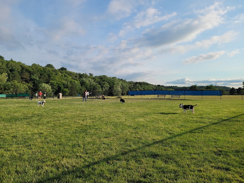 Lewiston Dog Park | Lewiston, NY 14092, USA | Phone: (716) 754-7766