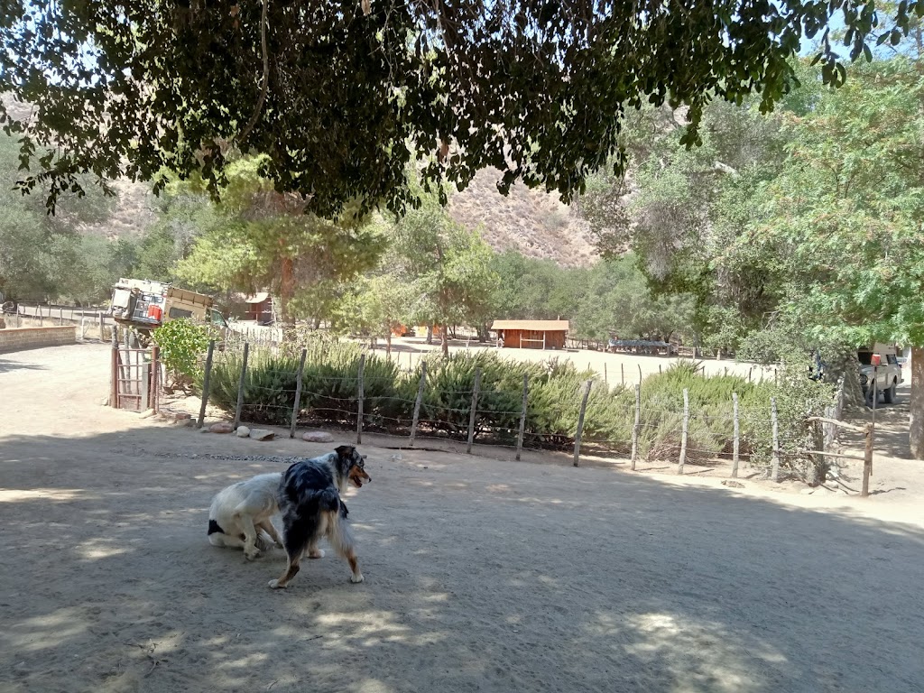 Rancho La Bellota | 22758 Ensenada, B.C., Mexico | Phone: 646 127 4145