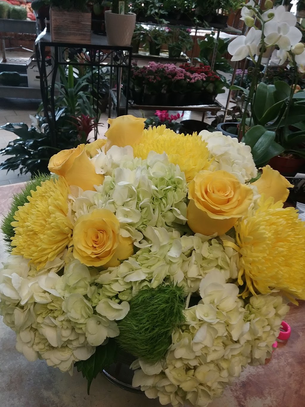 Rockridge Flower Shop And Garden Center | 280 Purchase St, Rye, NY 10580, USA | Phone: (914) 967-2455