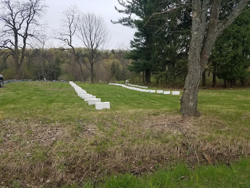 Rulison Honey Farms | 201 Shellstone Rd, Amsterdam, NY 12010, USA | Phone: (518) 843-1619