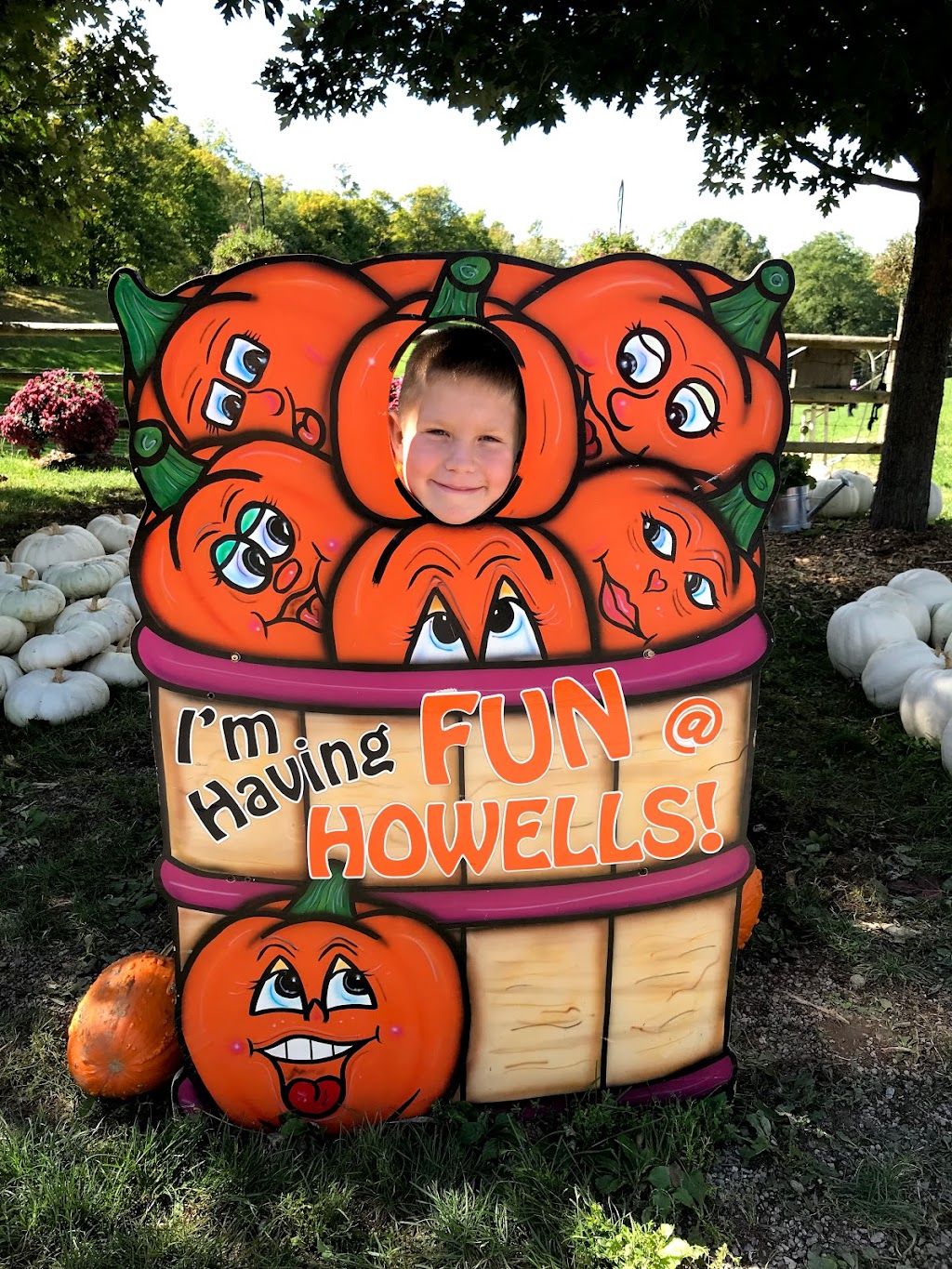 Howell Family Pumpkin Farm | 2878 Holland Rd, Fonthill, ON L0S 1E6, Canada | Phone: (905) 892-3918