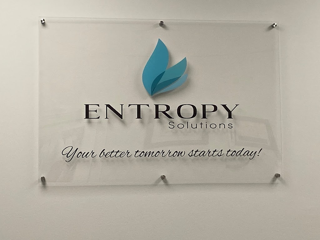 Entropy Solutions Inc | 150 Broadhollow Rd Suite 306, Melville, NY 11747, USA | Phone: (631) 775-8610