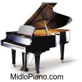 MidloPiano.com | 131 Little Hawk Pl, Midlothian, VA 23114, USA | Phone: (804) 385-6106