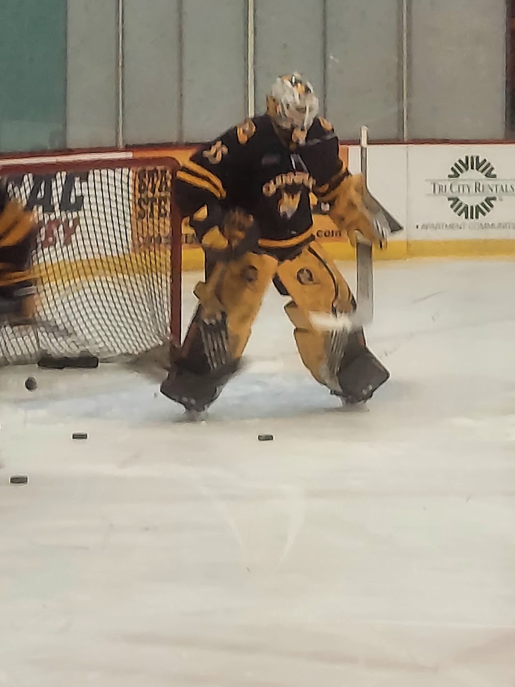 Houston Field House | 1900 Peoples Ave, Troy, NY 12180, USA | Phone: (518) 276-6262