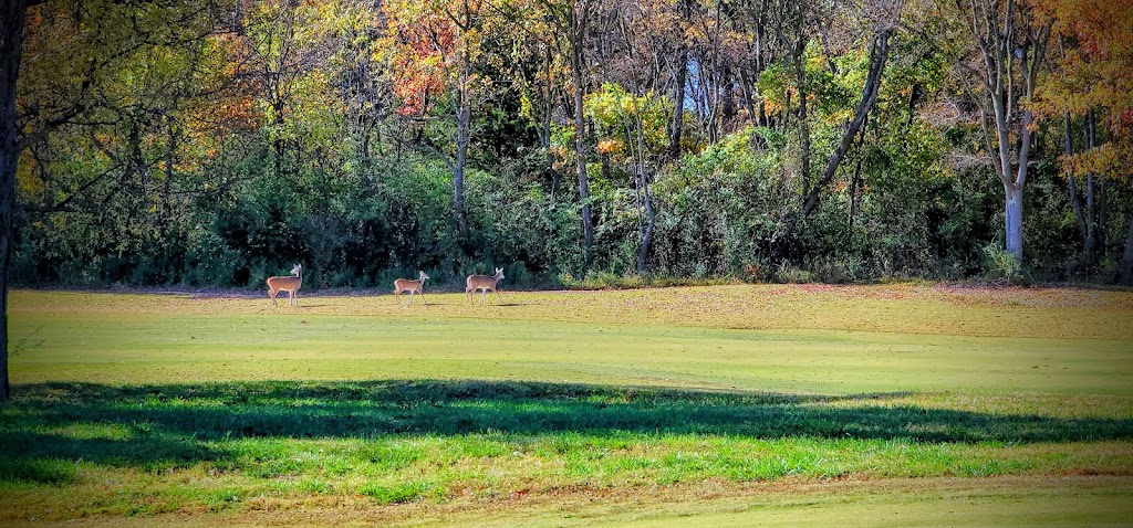 Cherokee Hills Golf Club | 770 W Cherokee St, Catoosa, OK 74015, USA | Phone: (800) 760-6700
