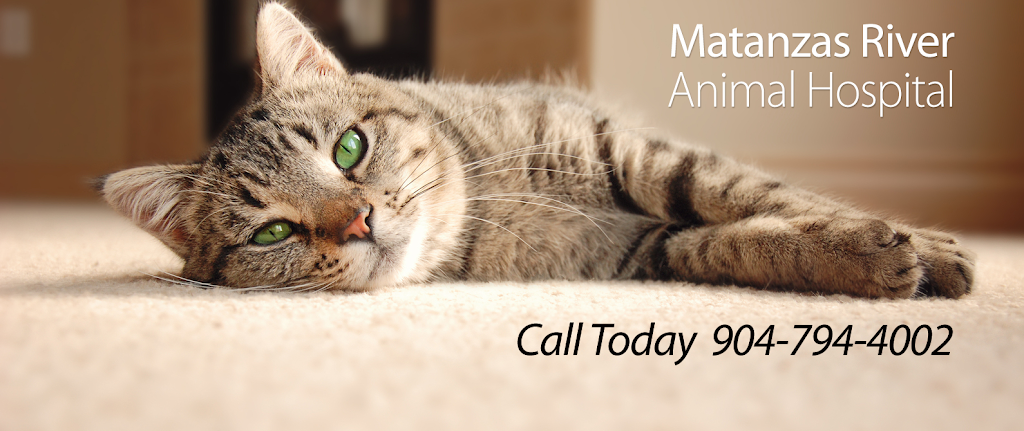 Matanzas River Animal Hospital | 2440 US-1, St. Augustine, FL 32086, USA | Phone: (904) 794-4002