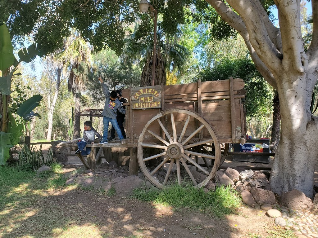 Rancho las Ilusiones | Baja California, Mexico | Phone: 661 116 5310