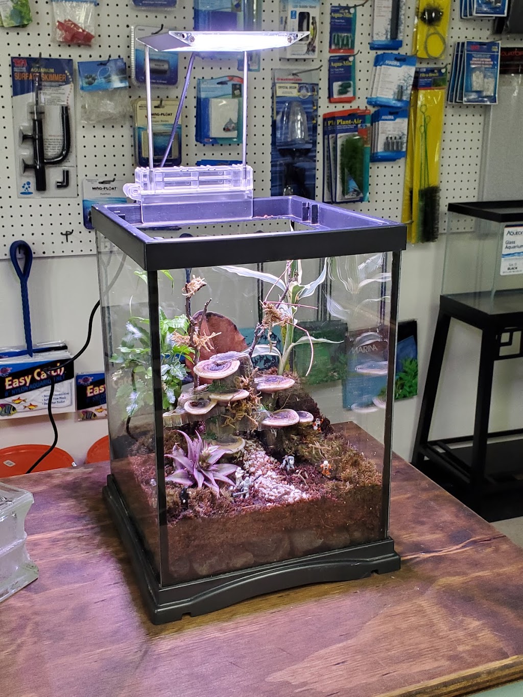 D-N-D Aquariums & Pet Shop | 1016 S Armstrong Ave # 103, Denison, TX 75020, USA | Phone: (903) 463-1134