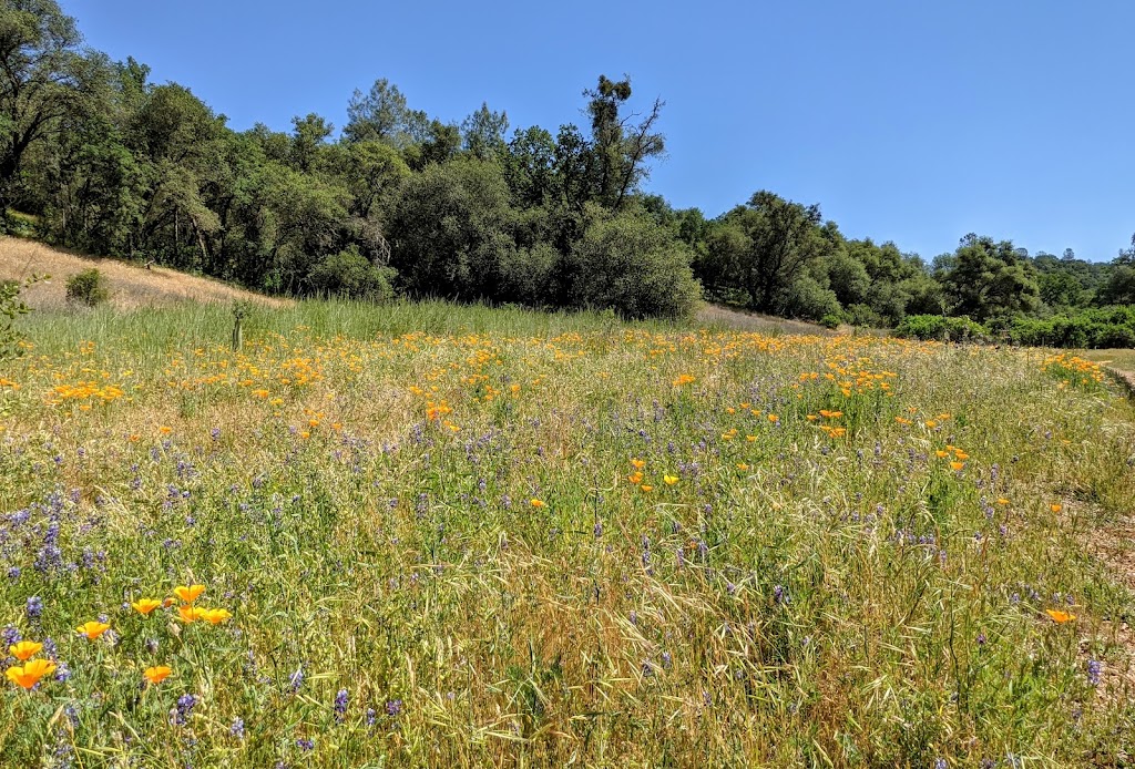 Acorn Creek Trailhead Pilot Hill, CA 95664, USA BusinessYab