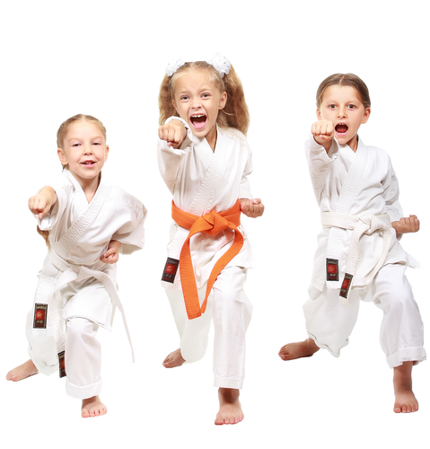 Sacan Martial Arts | 9090 Cox Rd, West Chester Township, OH 45069, USA | Phone: (513) 847-1476