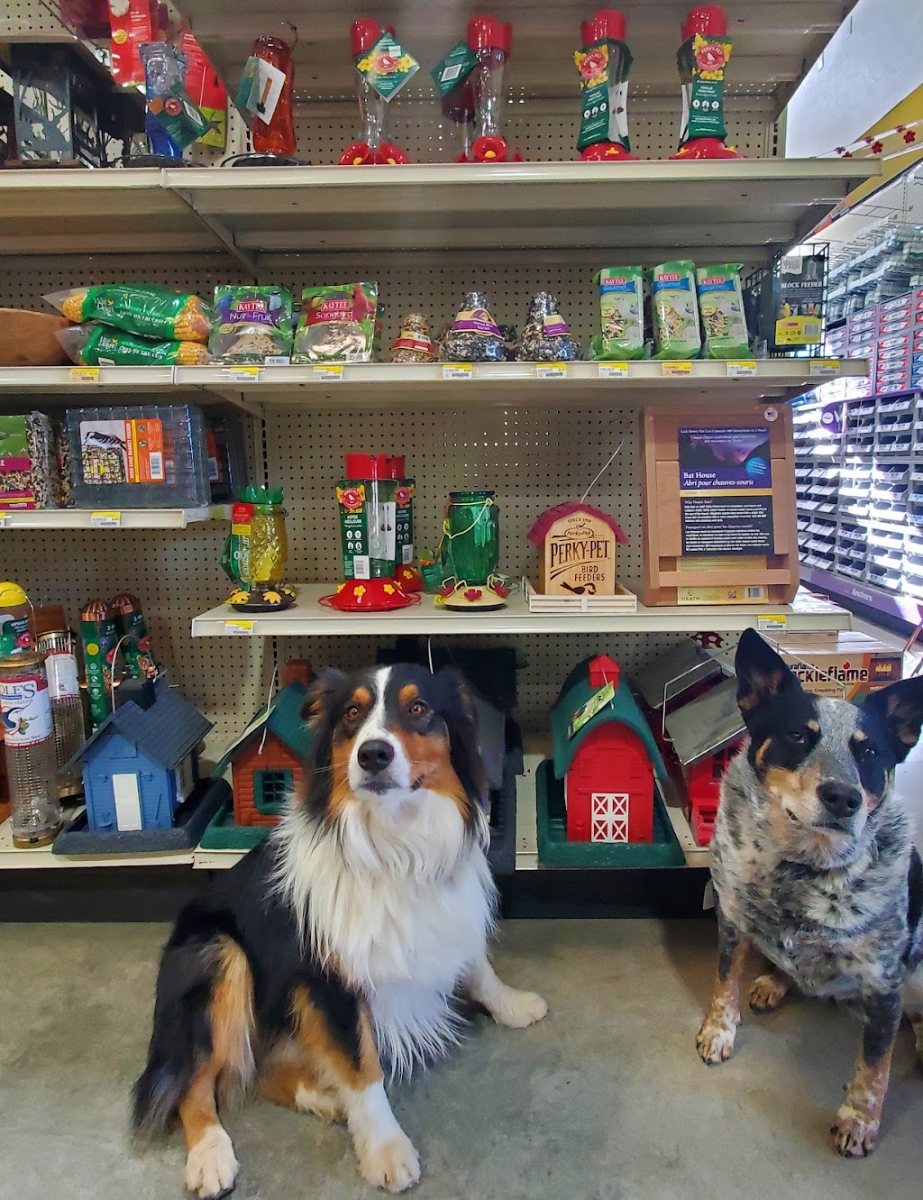 Village Mercantile Home and Farm Store | 3675 Corrales Rd, Corrales, NM 87048, USA | Phone: (505) 897-9328