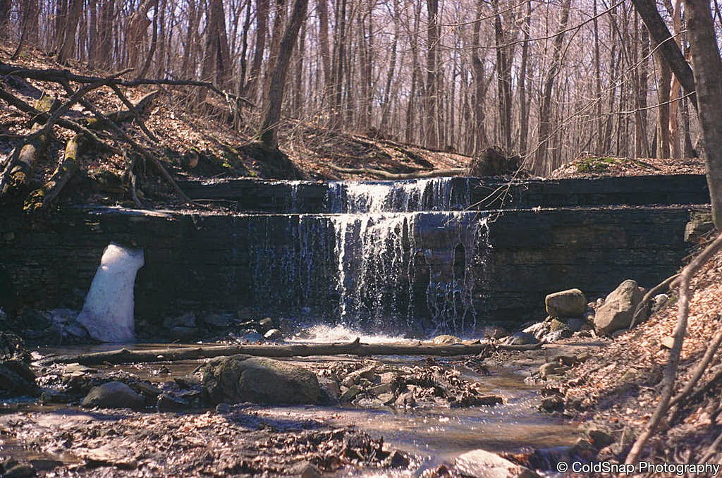 Prairie Creek Woods Scientific and Natural Area (SNA) | Johnson Trail, Nerstrand, MN 55053, USA | Phone: (507) 831-2900