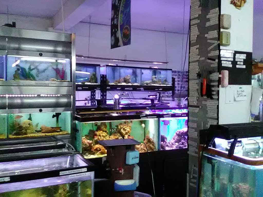 Fish Aquariums & Stuff | 6112 W Fairview Ave, Boise, ID 83704, USA | Phone: (208) 377-1119