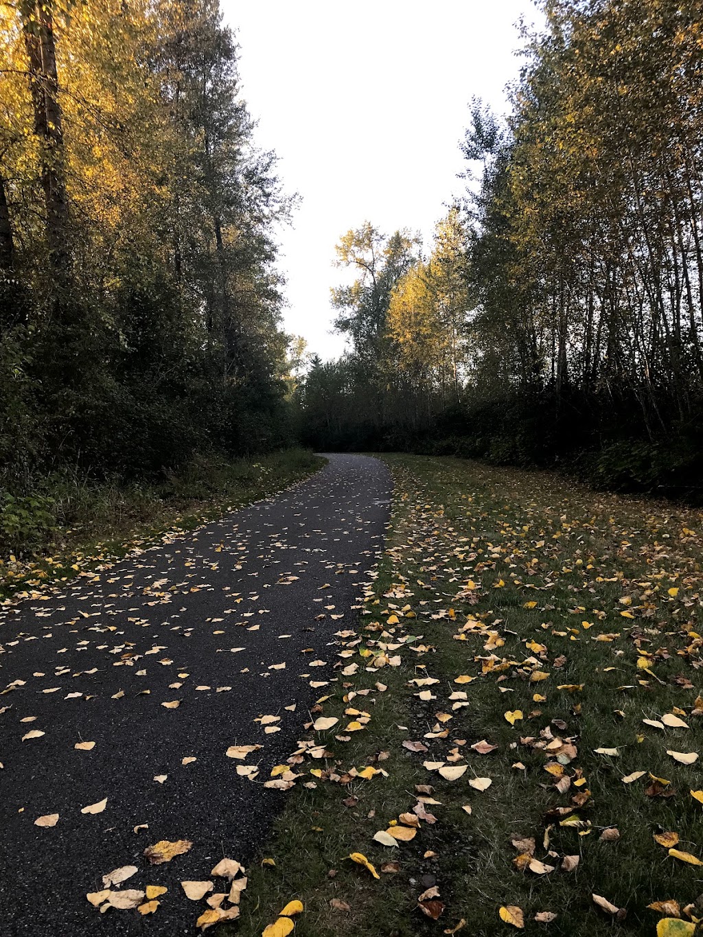 Centennial Trailhead at Hwy 92 Overpass | Hwy 92 Trail Head, Lake Stevens, WA 98258, USA | Phone: (425) 388-6600