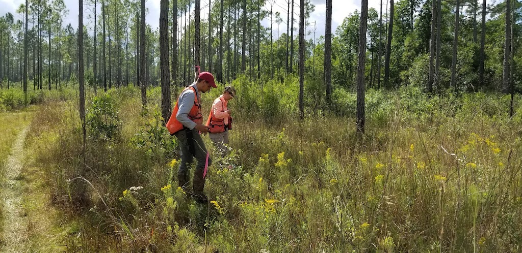 Highlands Ranch Mitigation Bank | 2069 Louie Carter Rd, Jacksonville, FL 32234, USA | Phone: (904) 265-7057