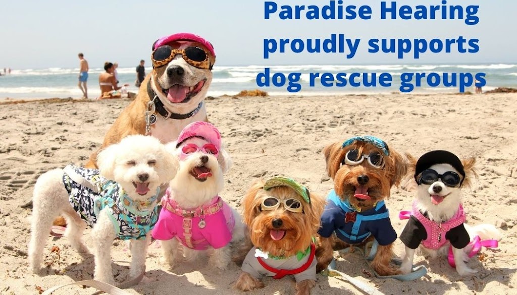 Paradise Hearing | 5540 E Broadway Rd, Mesa, AZ 85206, USA | Phone: (480) 830-4685