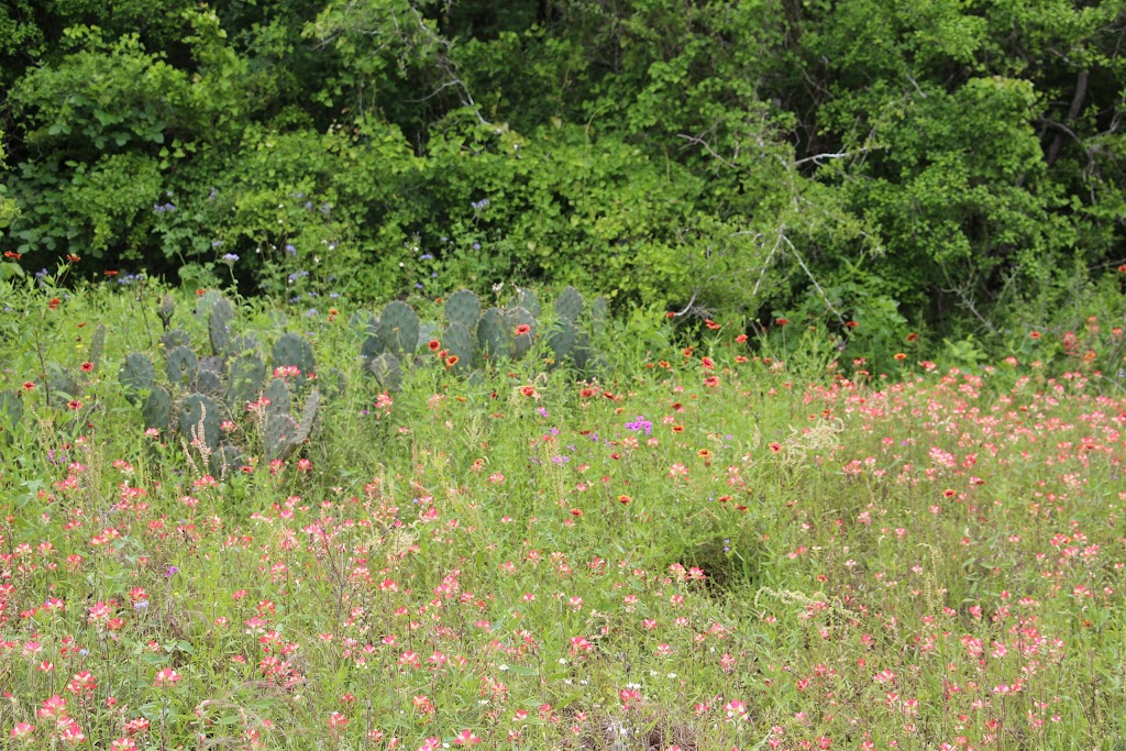 Jackson Nature Park | 9284 County Rd 401, Stockdale, TX 78160, USA | Phone: (866) 345-7272