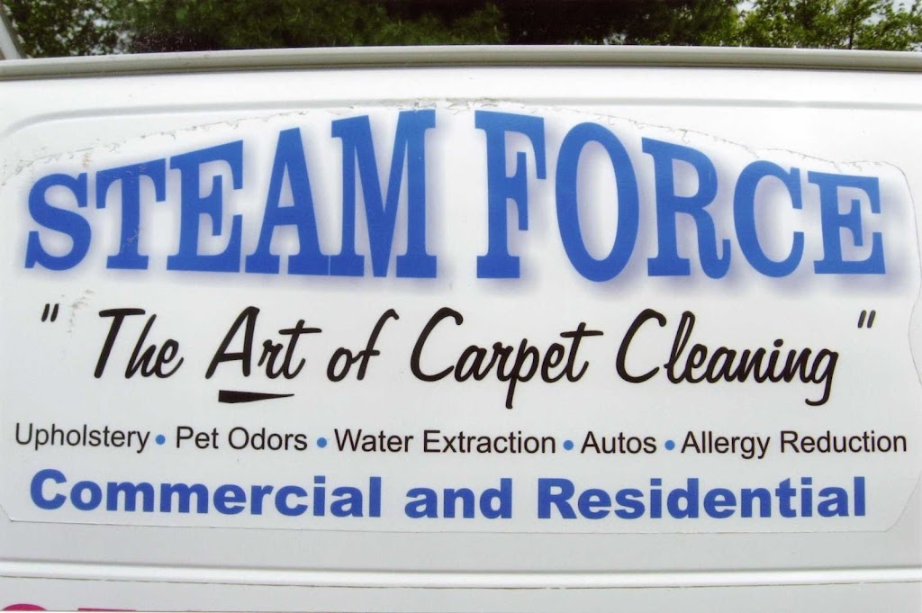 Arts Steam Force | 7188 360th St, North Branch, MN 55056, USA | Phone: (651) 462-1682