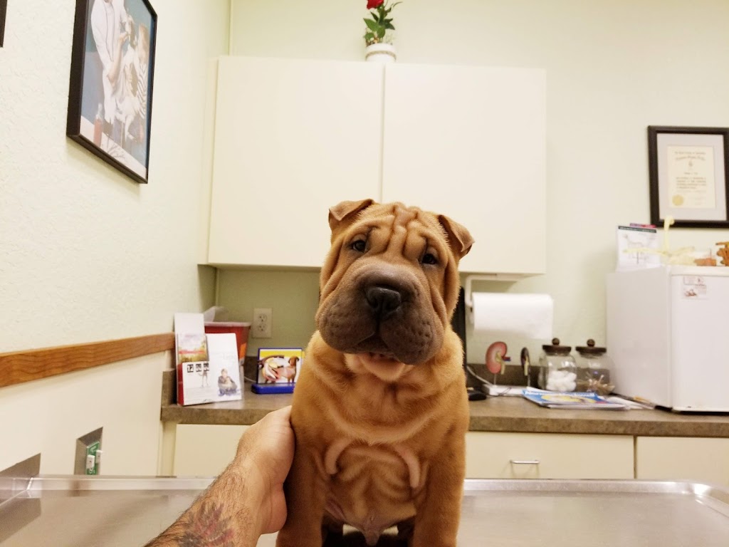 Fox & Friends Animal Hospital | 1024 Cypress Village Blvd, Ruskin, FL 33573, USA | Phone: (813) 633-2443