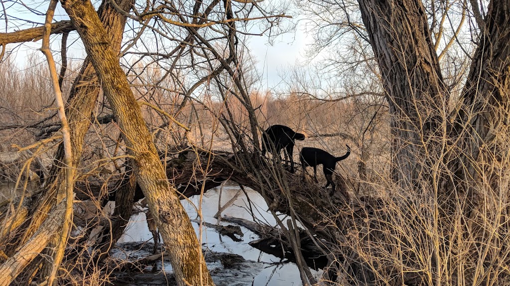 Cherokee Marsh State Natural Area | 4439 Buckley Rd, Madison, WI 53704, USA | Phone: (608) 266-2621