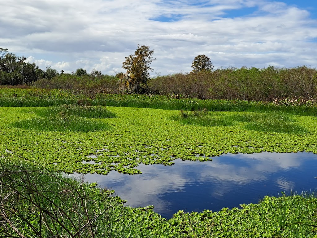 Circle B Bar Reserve | 4399 Winter Lake Rd, Lakeland, FL 33803, USA | Phone: (863) 534-7377