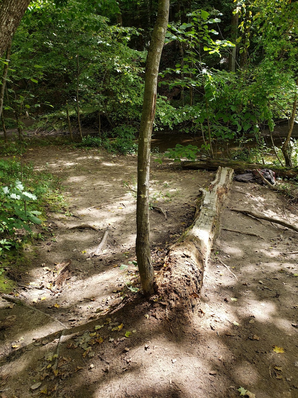 Indian Kill Nature Preserve | Schenectady, NY 12302, USA | Phone: (518) 688-1200 ext. 321