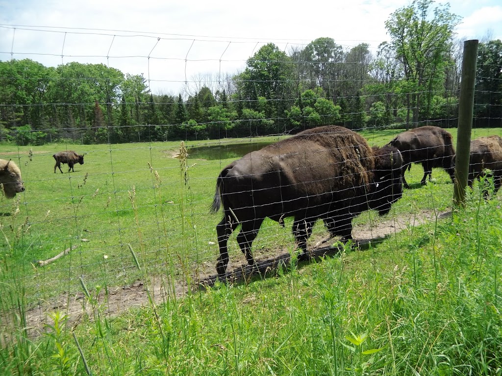 Shalom Wildlife Zoo | 1901 Shalom Dr, West Bend, WI 53090, USA | Phone: (262) 338-1310