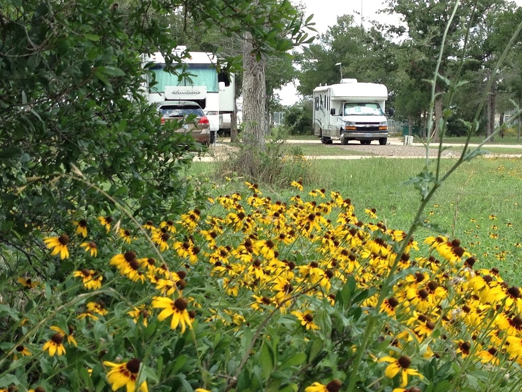 Great Escapes RV Park Austin Oaks | 761 Union Chapel Rd, Cedar Creek, TX 78612, USA | Phone: (512) 985-5333