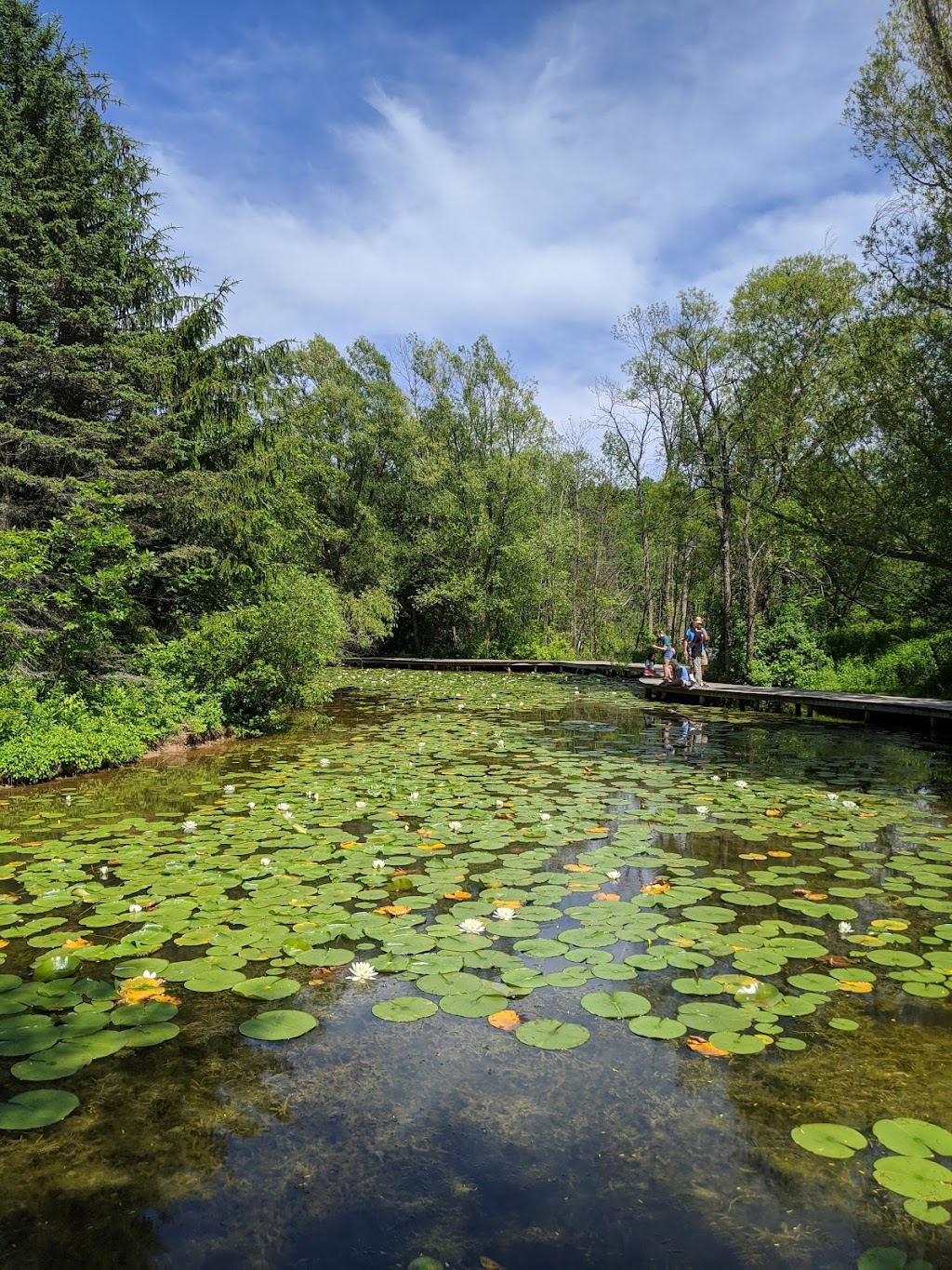 Schlitz Audubon Nature Center | 1111 E Brown Deer Rd, Bayside, WI 53217, USA | Phone: (414) 352-2880