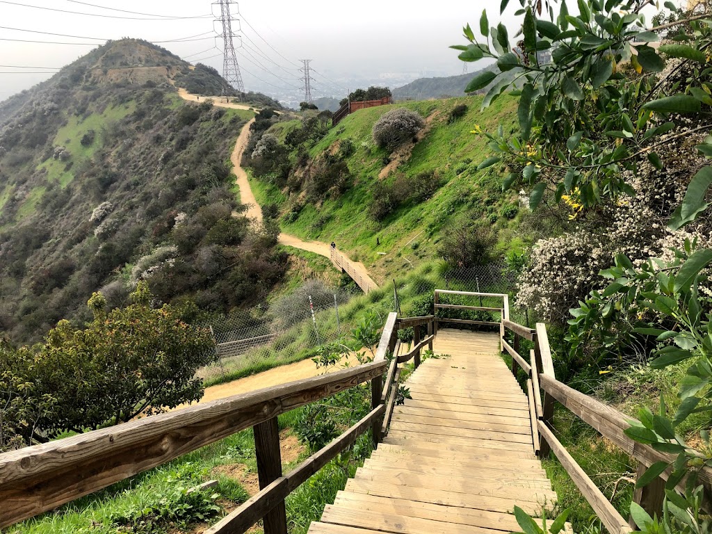 Runyon Canyon Flag | W Ridge Hiking Trail, Los Angeles, CA 90046, USA | Phone: (310) 903-8718