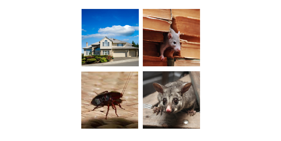 Quality Control Exterminating | 5492 US-29, Blairs, VA 24527, USA | Phone: (434) 836-0273