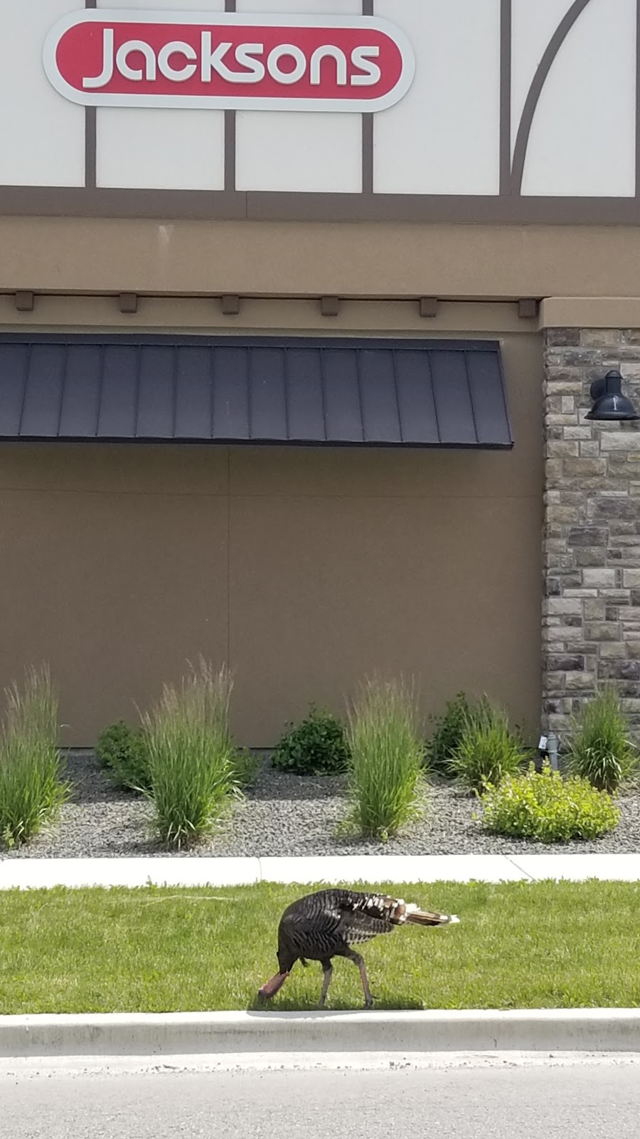 Jacksons Food Stores | 3950 W State St, Eagle, ID 83616, USA | Phone: (208) 938-8650