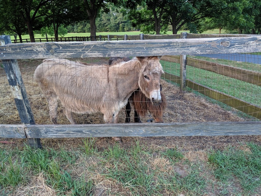 Fox Farm Little House | 7503 Sims Rd, Waxhaw, NC 28173, USA | Phone: (704) 577-8444