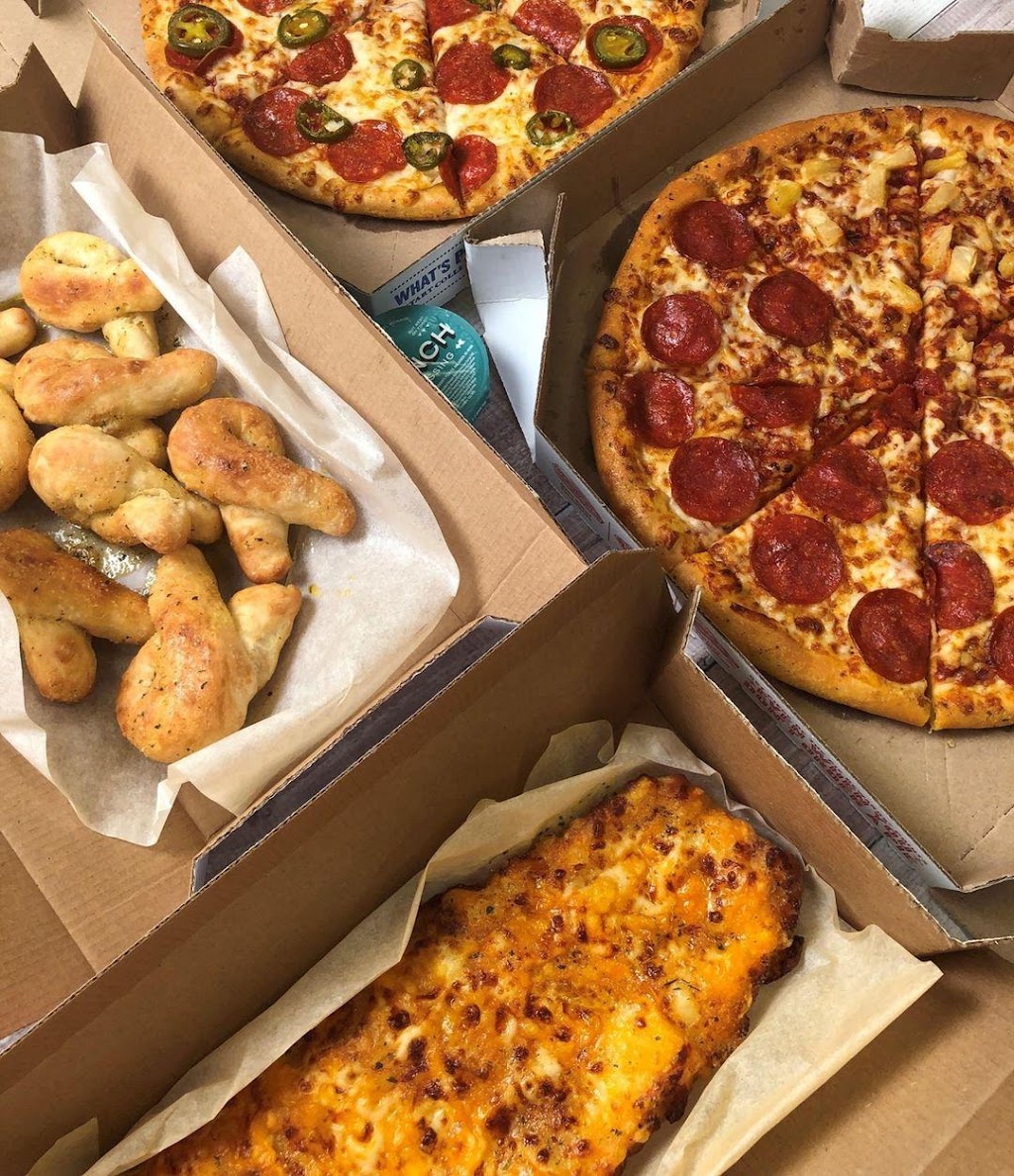 Dominos Pizza | 267 New Scotland Ave, Albany, NY 12208, USA | Phone: (518) 438-3030