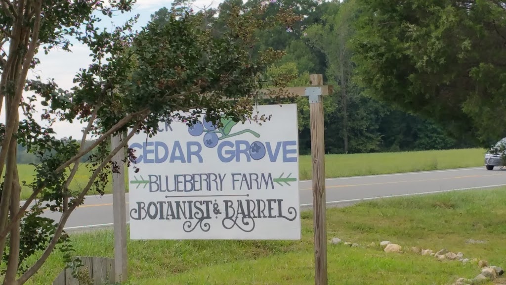 Cedar Grove Blueberry Farm | 105 Persimmon Hill Ln, Cedar Grove, NC 27231, USA | Phone: (919) 593-4715