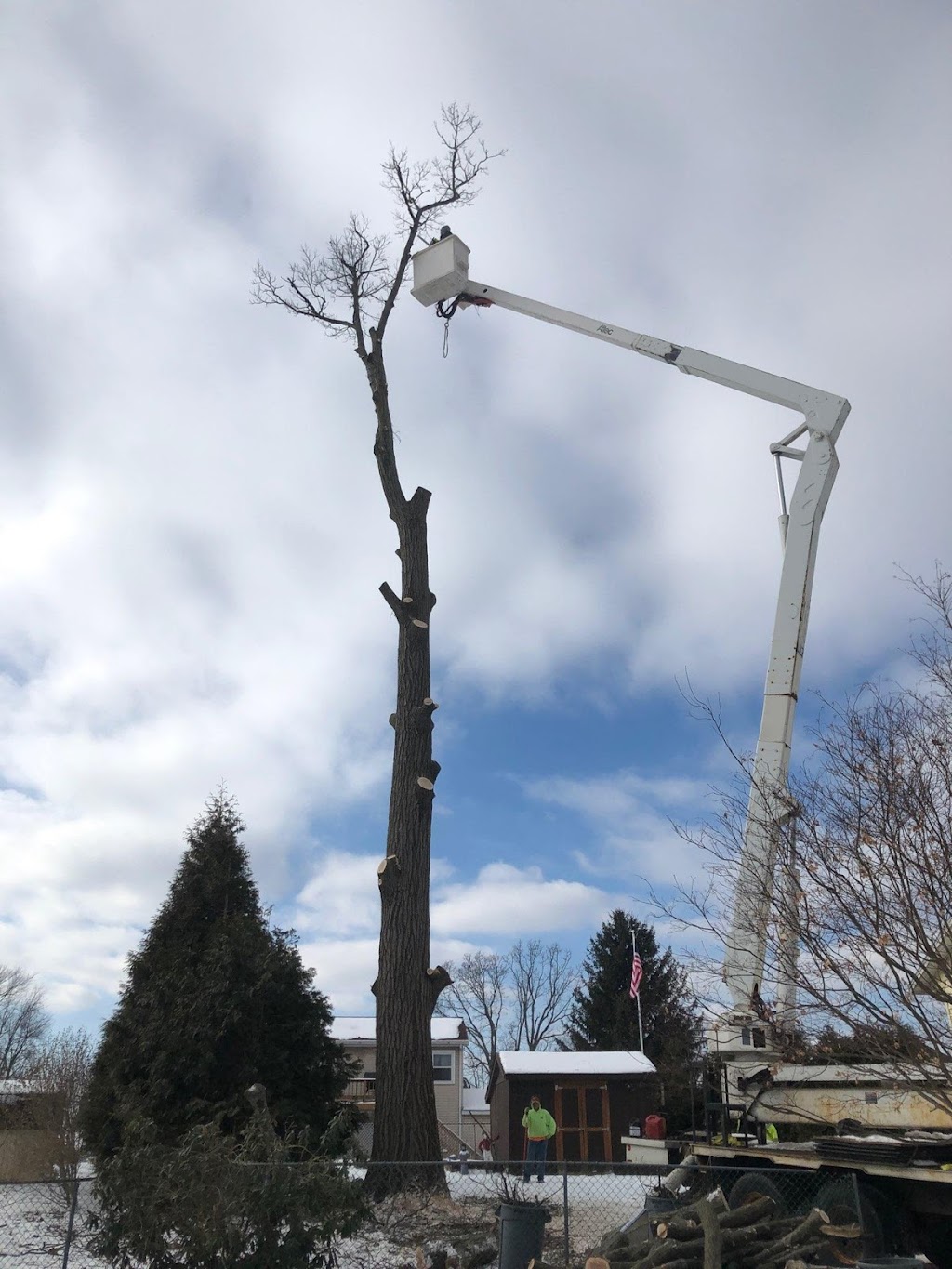 Clear Choice Tree Service | 1525 Crescent Rd Suite 1, Clifton Park, NY 12065, USA | Phone: (518) 470-6705