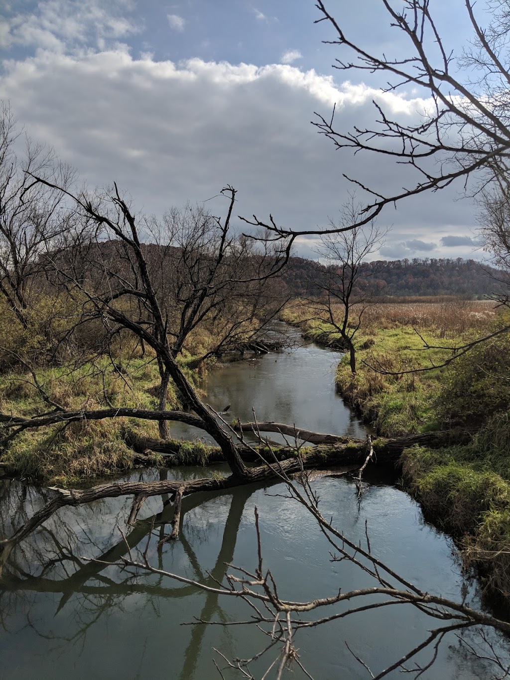 Vermont Valley Community Farm | 4628 Co Rd FF, Blue Mounds, WI 53517, USA | Phone: (608) 767-3860