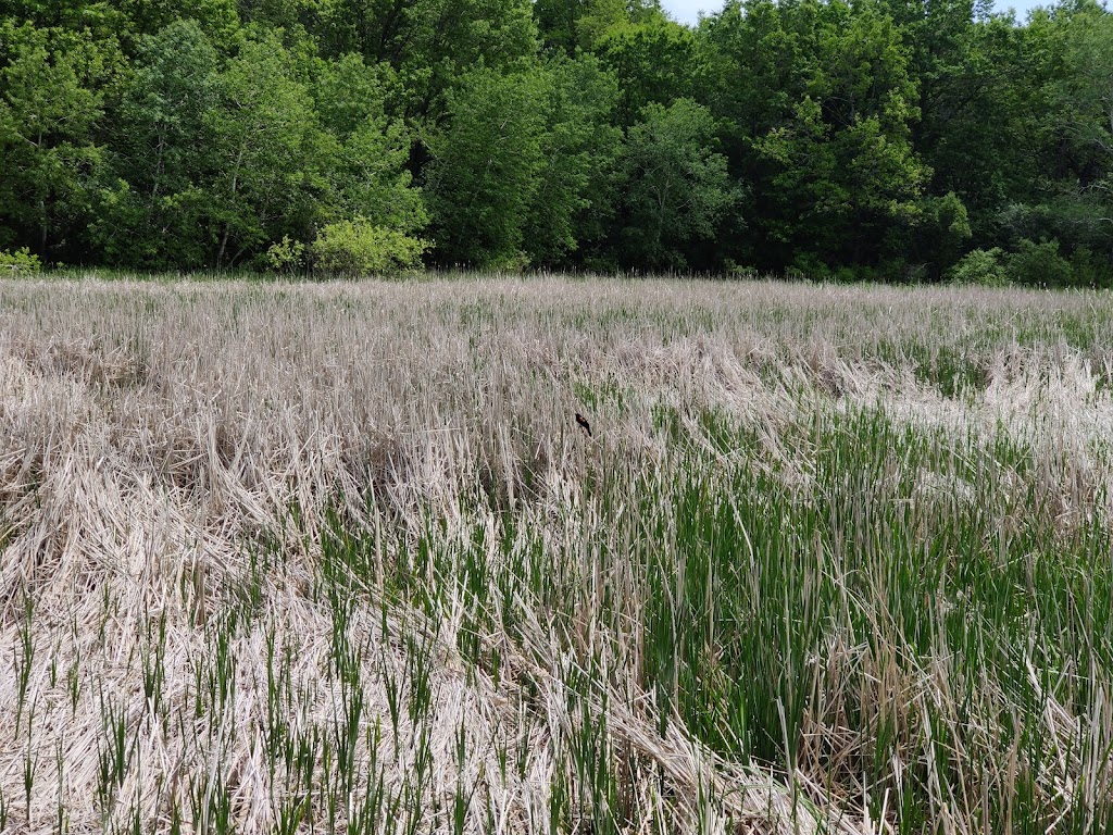 Dorn Creek Wildlife Area | 5998 Oncken Rd, Waunakee, WI 53597 | Phone: (608) 224-3730