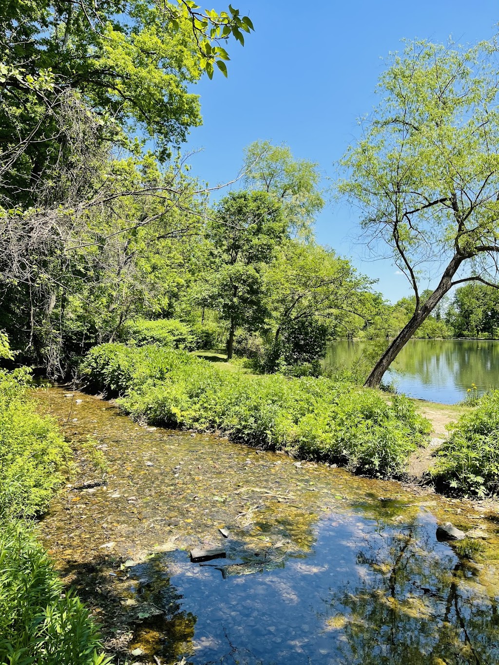 Fenimore Woods | 1194 Eagle Rd, Wayne, PA 19087, USA | Phone: (610) 687-1124