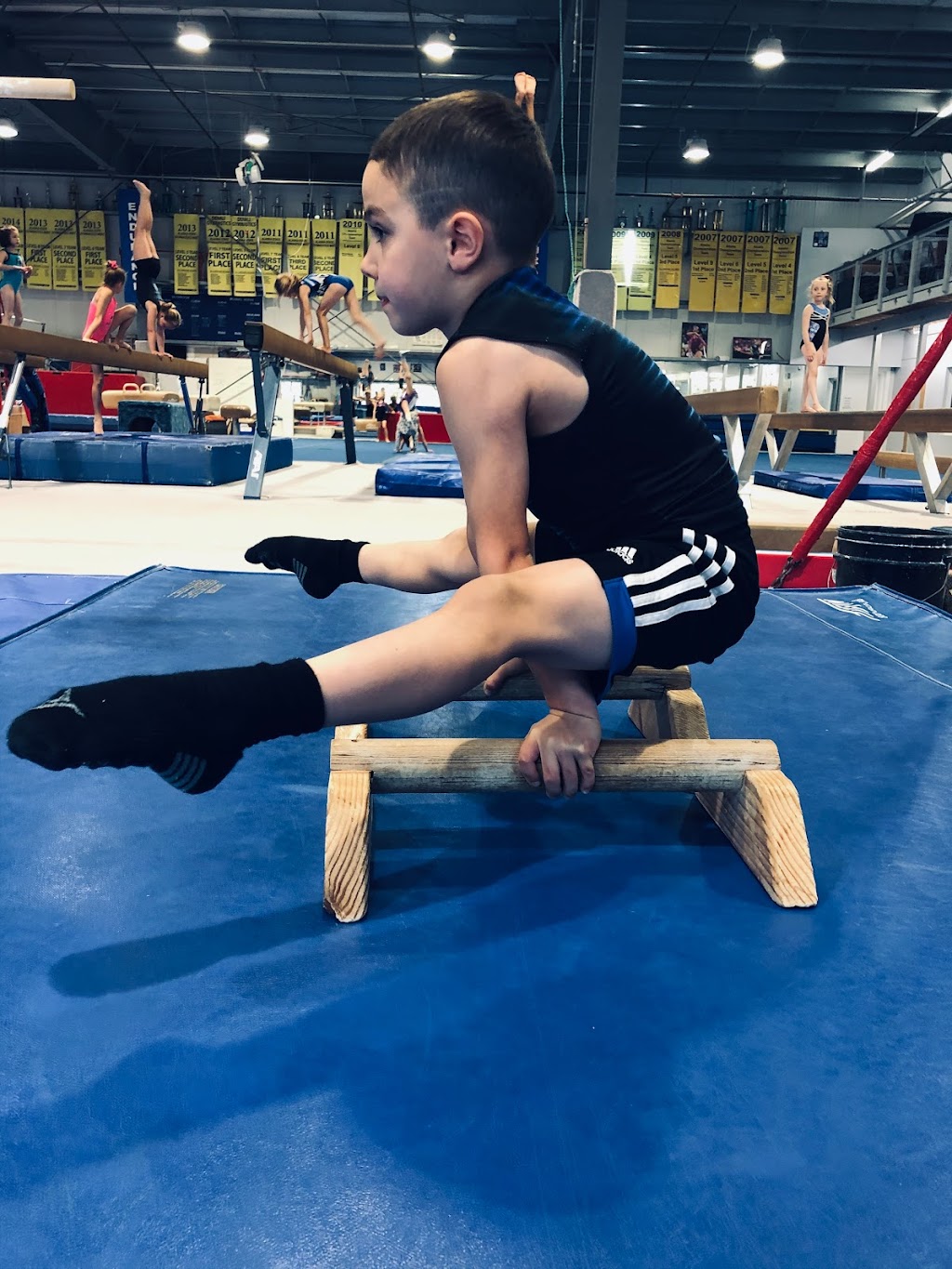 Denali Gymnastics & Childcare | 300 E Kalli Cir, Wasilla, AK 99654, USA | Phone: (907) 373-3547