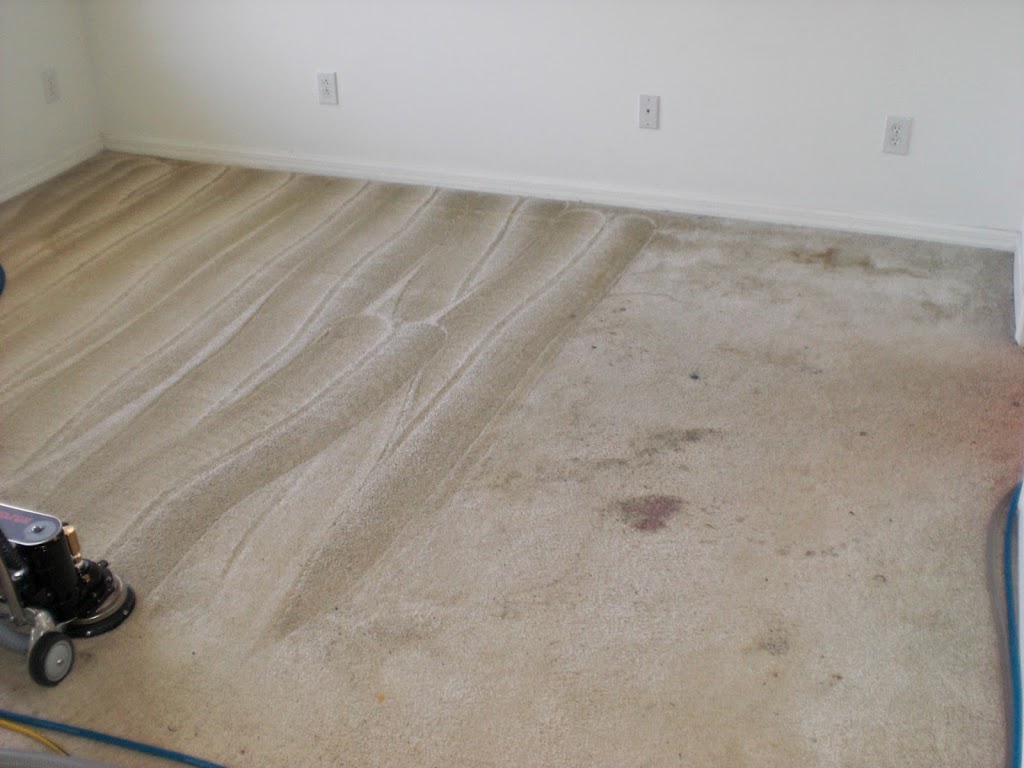 tampabayrestorecarpetcleaning.com | 1500 78th Terrace N, St. Petersburg, FL 33702, USA | Phone: (813) 263-3676