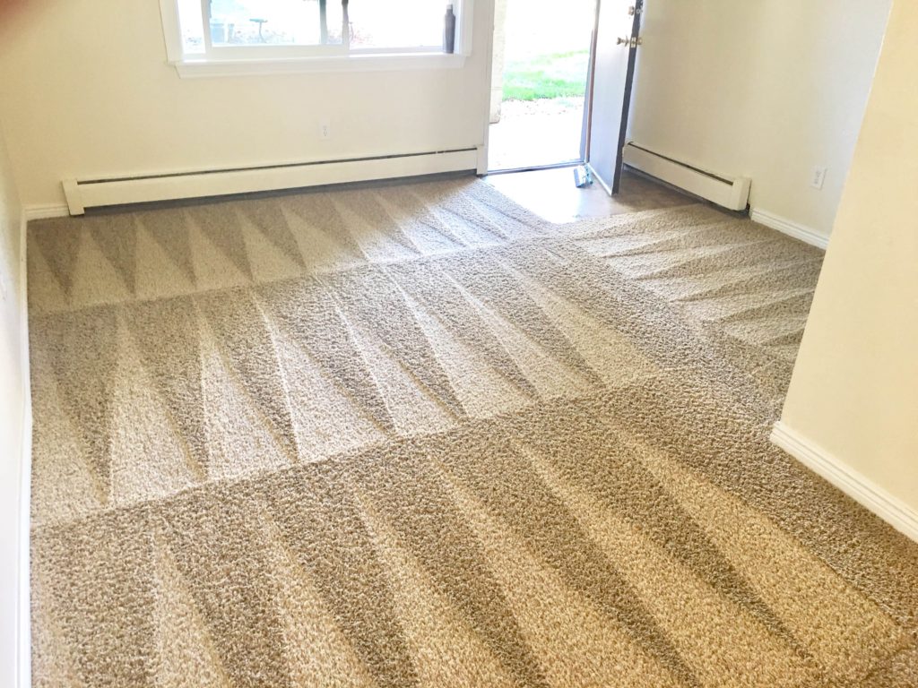 BROWARD COUNTY CARPET CLEANING INC | 7393 W Sunrise Blvd, Plantation, FL 33313, USA | Phone: (954) 774-6278